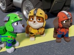 Paw Patrol, la Pat'Patrouille
