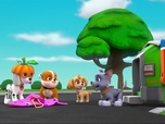 Paw Patrol, la Pat'Patrouille