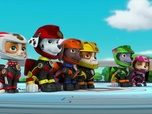 Paw Patrol, la Pat'Patrouille