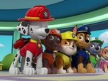 Paw Patrol, la Pat'Patrouille Paw Patrol, la Pat'Patrouille