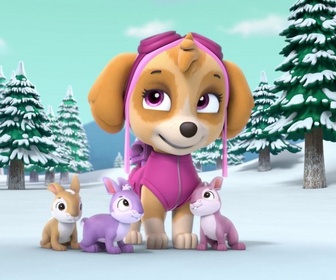 Paw Patrol, la Pat'Patrouille - La tempête de neige