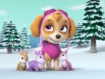 Paw Patrol, la Pat'Patrouille Paw Patrol, la Pat'Patrouille
