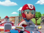 Paw Patrol, la Pat'Patrouille