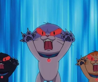 Totally Spies ! - Alerte chat-pardeurs