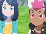 Pokémon Pokémon