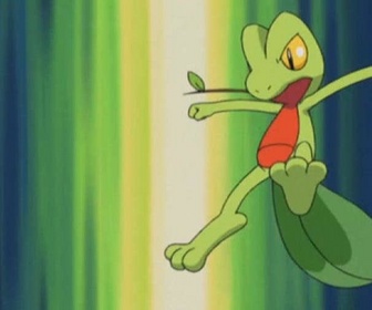 Pokémon - Une sacrée carapace