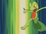 Pokémon Pokémon