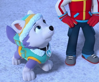 Compilation Paw Patrol, la Pat'Patrouille 15