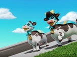 Paw Patrol, la Pat'Patrouille