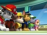 Paw Patrol, la Pat'Patrouille