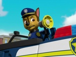 Paw Patrol, la Pat'Patrouille