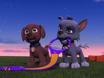 Paw Patrol, la Pat'Patrouille