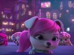 VIP Pets