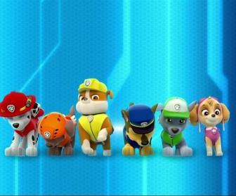 Paw Patrol, la Pat'Patrouille - Chat-tastrophe !