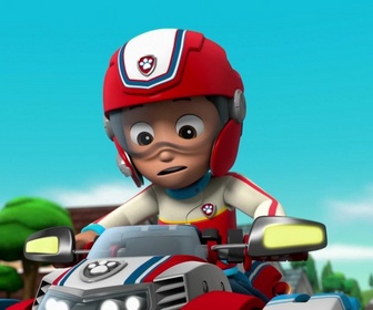 Paw Patrol, la Pat'Patrouille - Le bus touristique