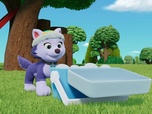 Paw Patrol, la Pat'Patrouille