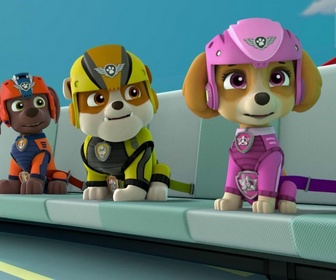 Paw Patrol, la Pat'Patrouille - Le Moisso-Matic