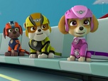 Paw Patrol, la Pat'Patrouille