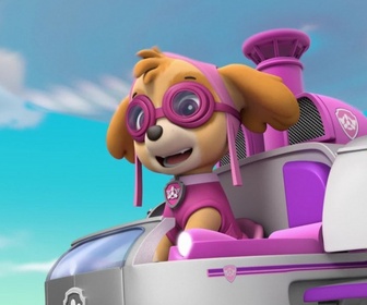 Paw Patrol, la Pat'Patrouille - Jérémie