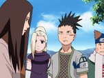 Naruto Shippuden