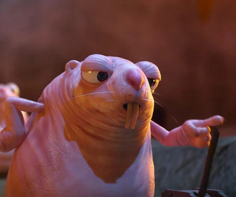 Les as de la jungle à la rescousse - 20/12/2025