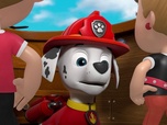 Paw Patrol, la Pat'Patrouille