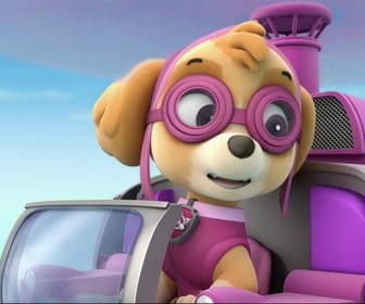 Paw Patrol, la Pat'Patrouille - S01 E10 - La course en montgolfière