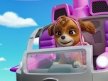 Paw Patrol, la Pat'Patrouille Paw Patrol, la Pat'Patrouille