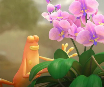 Les as de la jungle à la rescousse - 19/01/2026