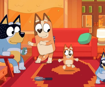 Bluey - 20/06/2026
