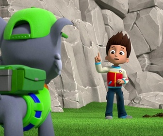 Paw Patrol, la Pat'Patrouille - Drôles d'oiseaux