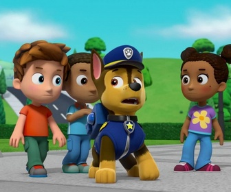 Paw Patrol, la Pat'Patrouille - La fête de la grande vallée