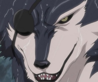 Naruto - S5 E18 - Chacun son combat