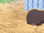 Pokémon Pokémon