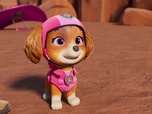 Paw Patrol, la Pat'Patrouille
