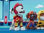 Paw Patrol, la Pat'Patrouille