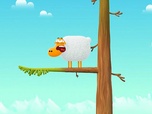 Karaté Mouton