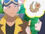 Pokémon Pokémon