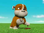Paw Patrol, la Pat'Patrouille