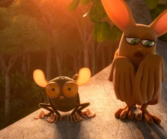 Les as de la jungle à la rescousse - 22/01/2026