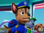 Paw Patrol, la Pat'Patrouille Paw Patrol, la Pat'Patrouille