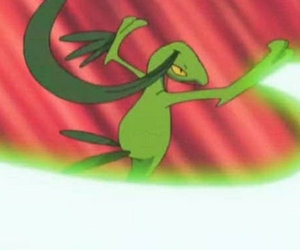 Pokémon - Un Brouhabam plutôt bruyant