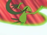 Pokémon Pokémon