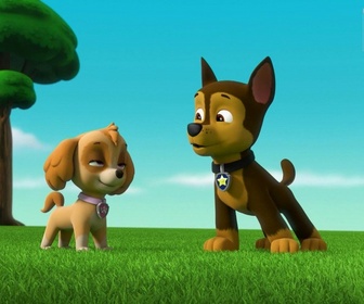 Paw Patrol, la Pat'Patrouille - S00 E21 - Compilation Pat'Patrouille : Super Patrouille
