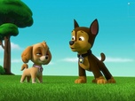 Paw Patrol, la Pat'Patrouille