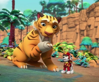 S00 E41 - Compilation Paw Patrol, la Pat'Patrouille 41