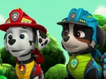 Paw Patrol, la Pat'Patrouille