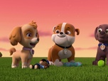 Paw Patrol, la Pat'Patrouille Paw Patrol, la Pat'Patrouille