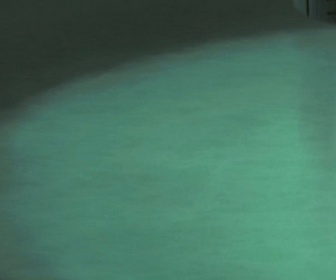 Naruto Shippuden - S9 E10 - Deux destinées