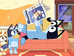 Bluey Bluey